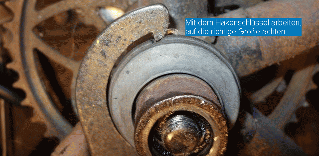 Glockenlager + Hakenschl�ssel