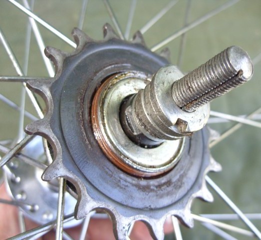 Schraubzahnkranz Fixie Selbstbau