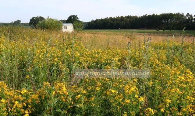 scheunenfunde-eingebettet-zwischen-industrie-landwirtschaft