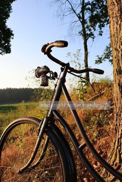 damenfahrrad-goericke-1905-frontansicht