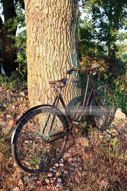 damenfahrrad-goericke-1905-heckansicht