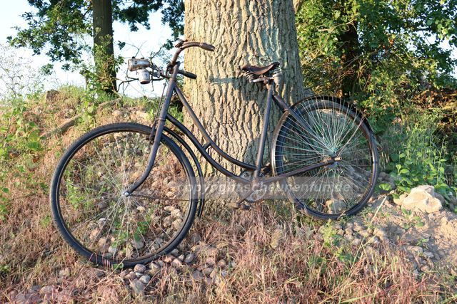 damenfahrrad-goericke-1905-restauriert