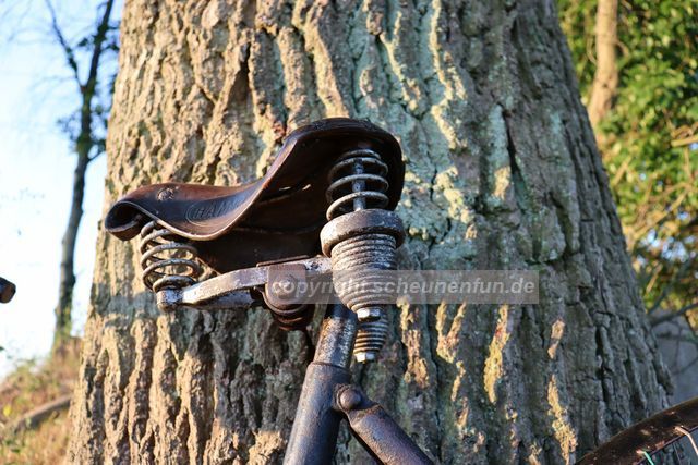 damenfahrrad-goericke-1905-sattel