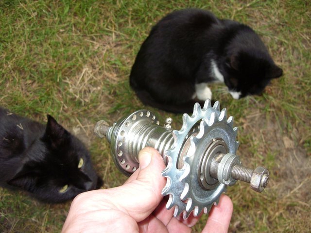 Torpedo Boy mit Doppelritzel
