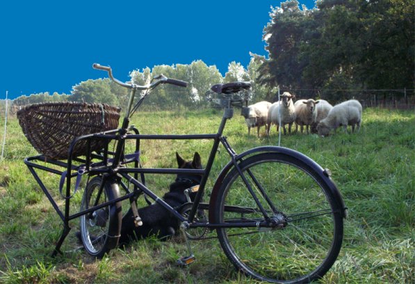 Baeckerfahrrad-Traktor